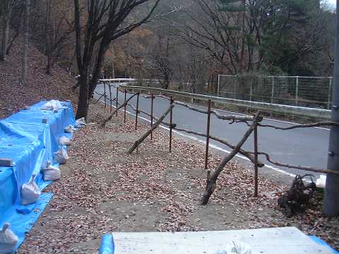 f0090444_2235836.jpg