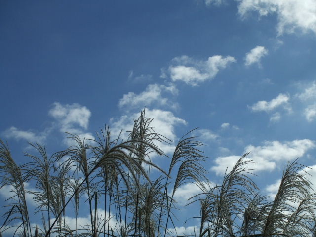 c0071545_13405493.jpg