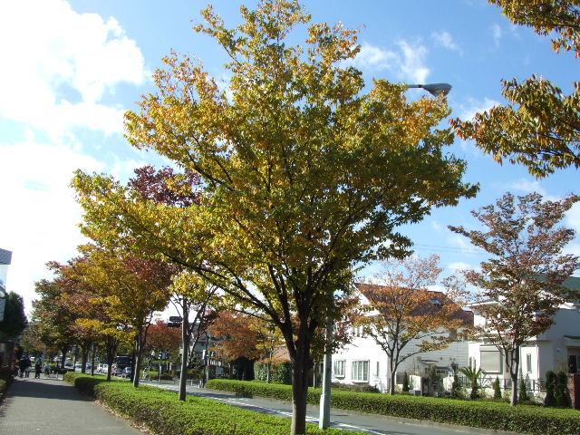 c0071545_13412966.jpg
