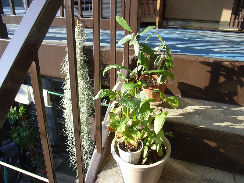 b0029648_16135248.jpg