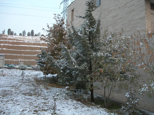 b0006449_20413140.jpg