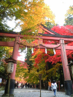 c0073649_25185.jpg