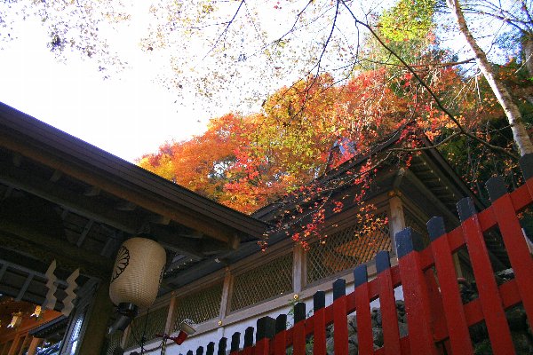 b0087463_012930.jpg