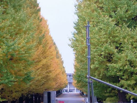 a0009666_14104541.jpg