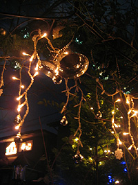 e0088576_2358487.jpg