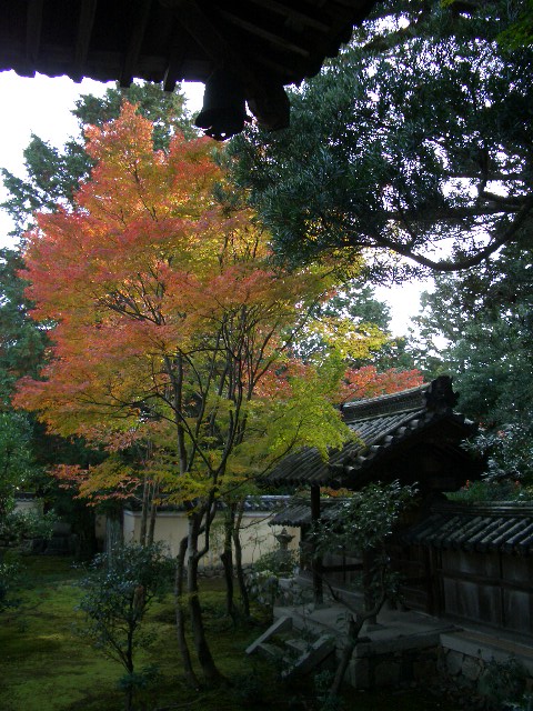 f0089079_1205178.jpg