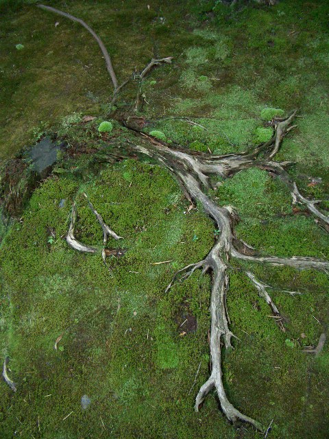 f0089079_12276.jpg