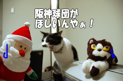 b0041182_0112665.jpg