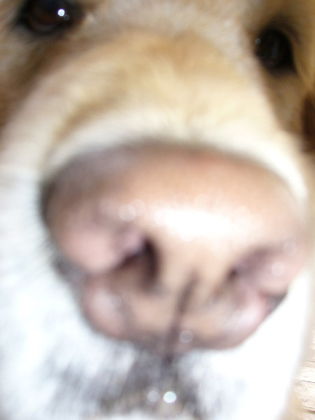 c0085188_2071754.jpg