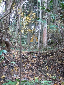 f0103688_20193223.jpg