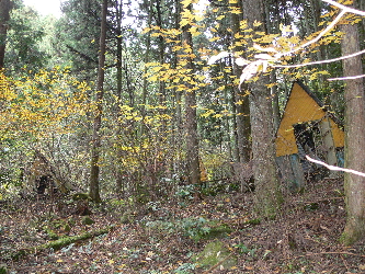 f0103688_20215859.jpg