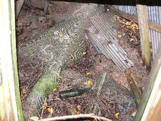 f0103688_20314279.jpg