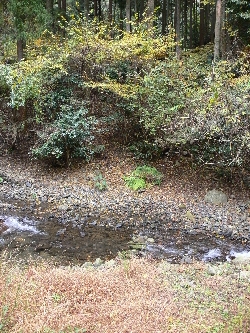 f0103688_2074720.jpg
