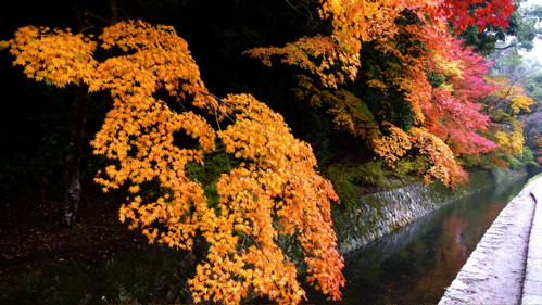 a0079292_1281122.jpg