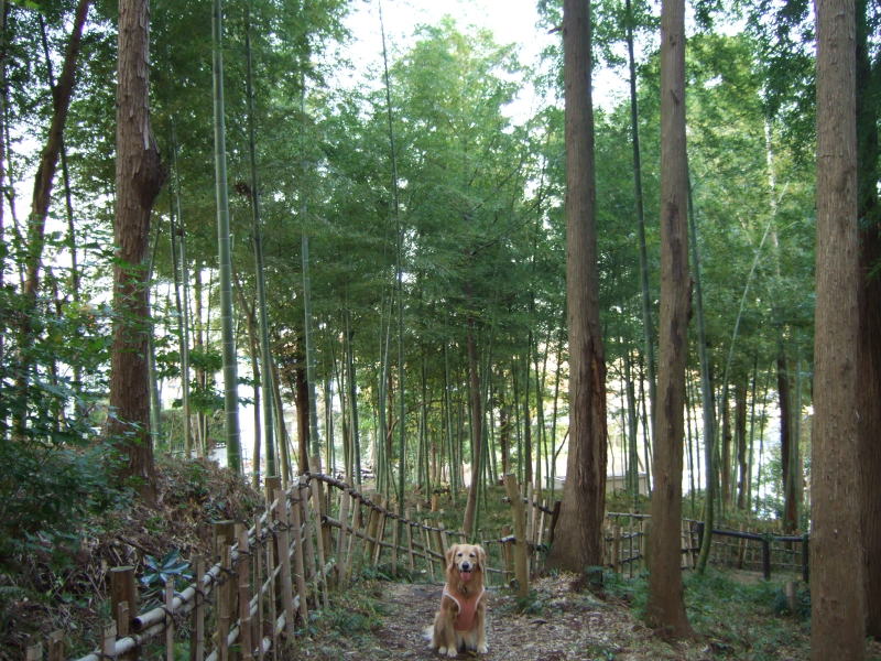c0104492_012080.jpg