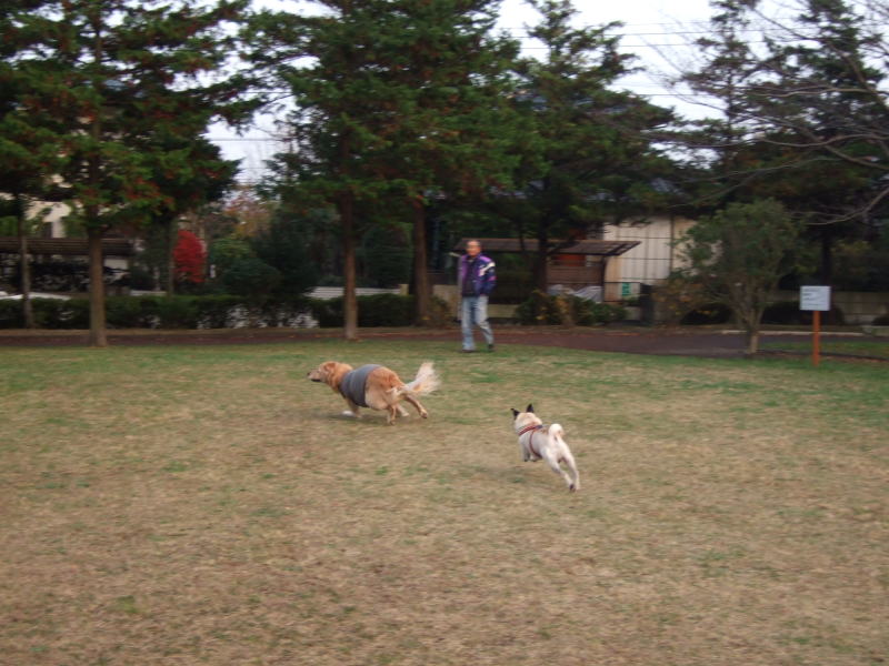 c0104492_1645531.jpg