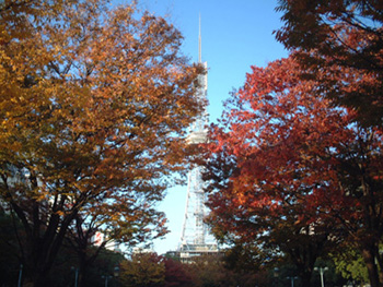 c0096693_22295172.jpg