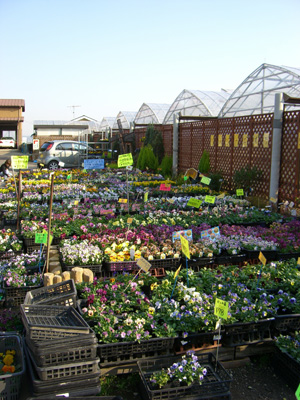 f0070493_231281.jpg