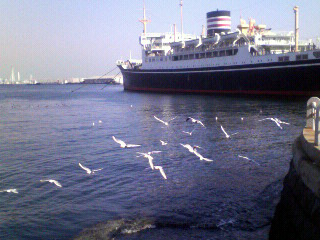 f0108399_187084.jpg