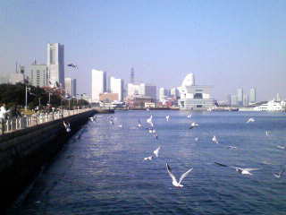 f0108399_1874327.jpg