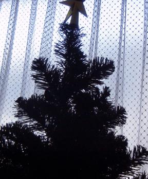 d0041400_14202521.jpg