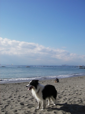 f0034602_20371554.jpg
