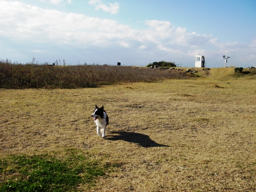 f0034602_2039029.jpg