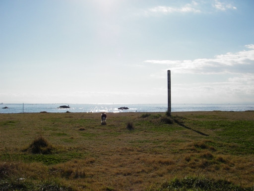 f0034602_2040382.jpg