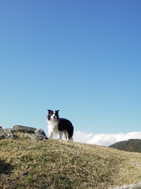 f0034602_20414940.jpg