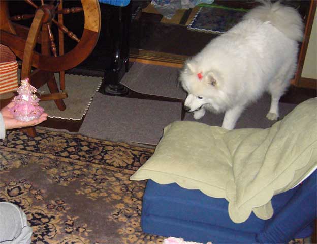 e0018604_127154.jpg