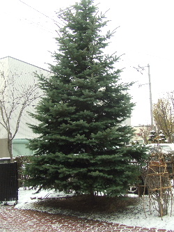 f0041606_2273123.jpg