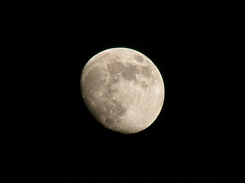 e0066210_21153546.jpg