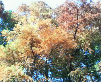 f0105810_5571383.jpg