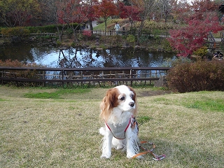b0072515_22275260.jpg