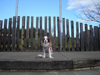 b0072515_22283480.jpg