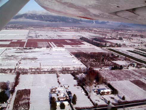 c0018716_18175857.jpg