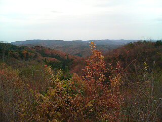 b0049421_18504919.jpg