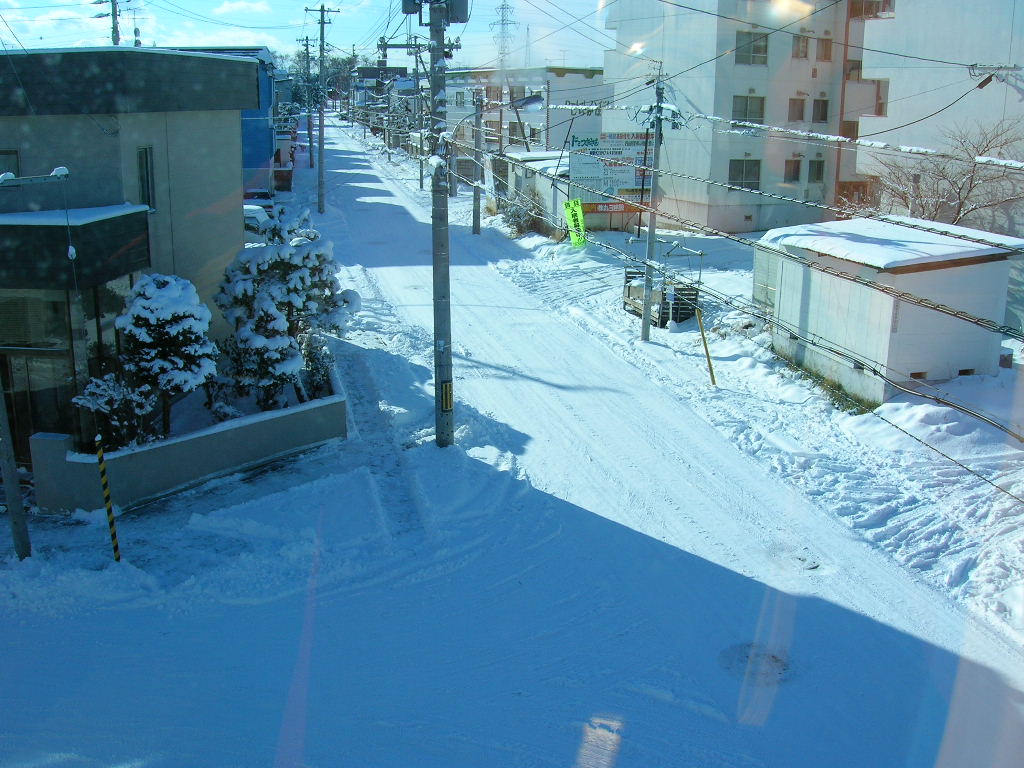 f0051125_10492099.jpg