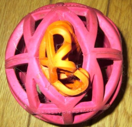 e0024126_10374672.jpg