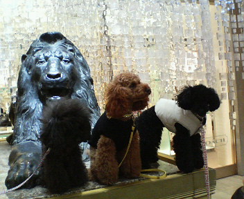 f0076529_2348948.jpg