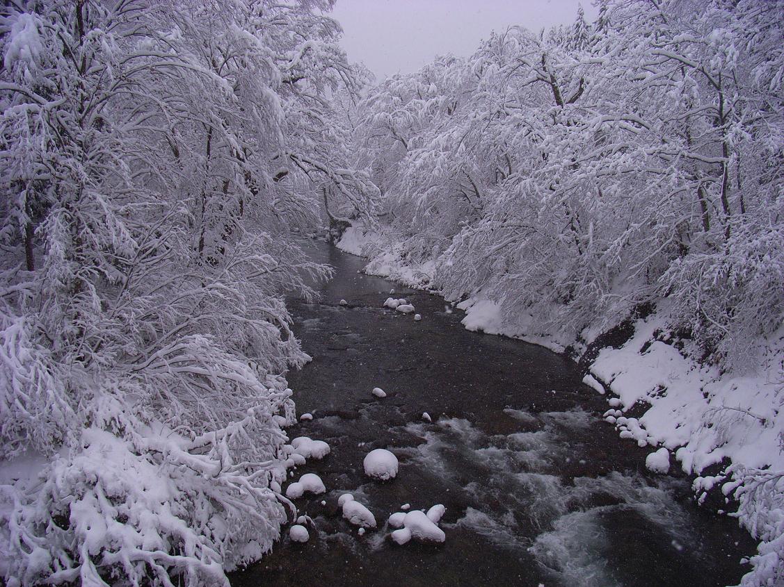 f0118332_21533630.jpg