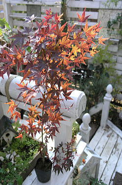 f0042135_21373121.jpg