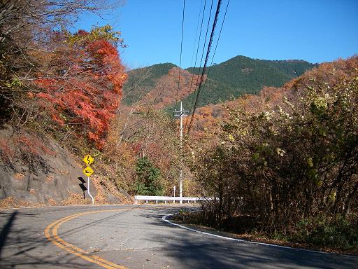 d0079936_1843146.jpg