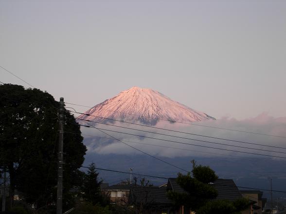 b0089338_20525184.jpg