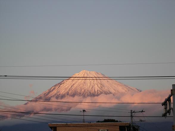 b0089338_2052739.jpg