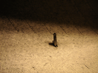 d0078842_1382023.gif