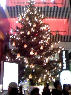 d0020443_16223347.jpg