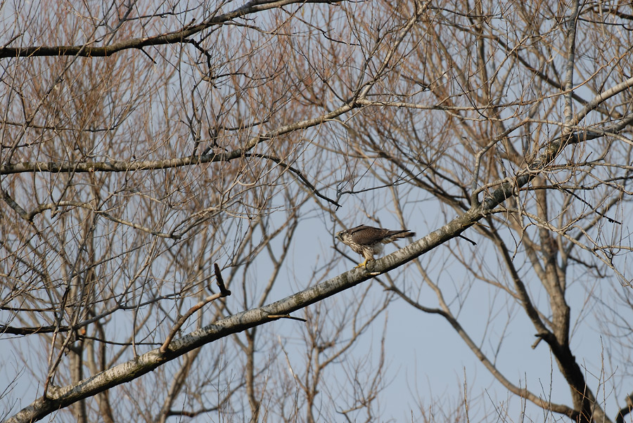 a0039245_1421576.jpg