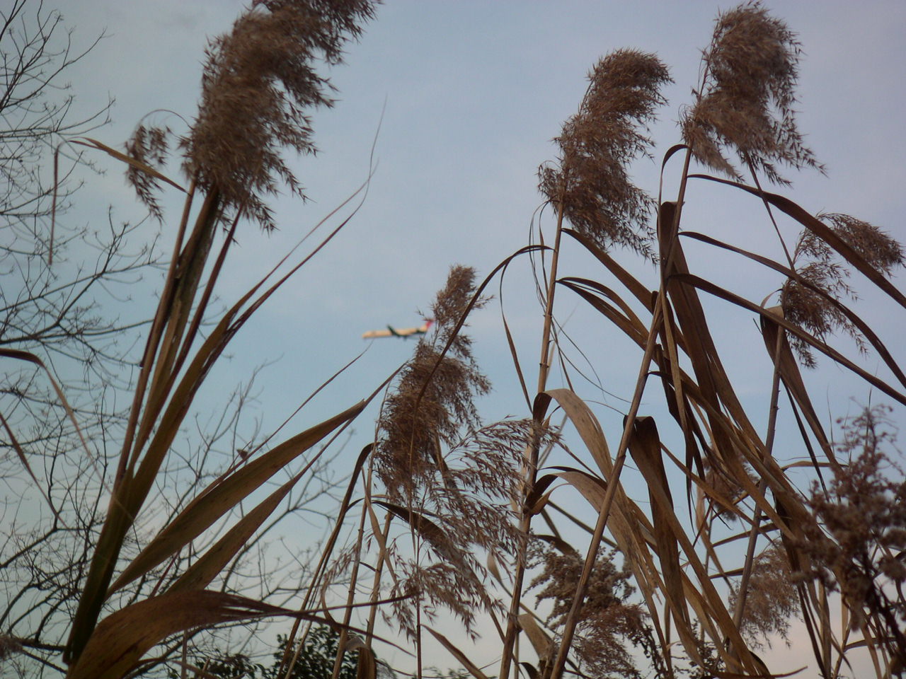 b0060646_001650.jpg