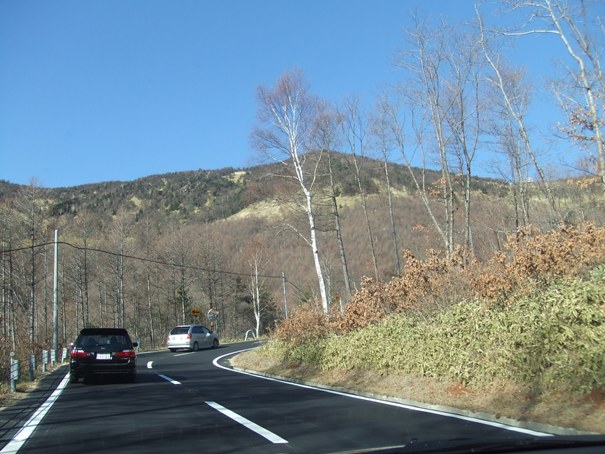 d0023346_1635922.jpg
